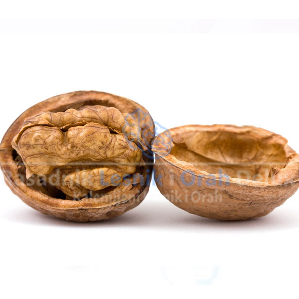 <h3 class=”product-title”>Kalemljeni Orah sorte Novosadski Rodni</h3>