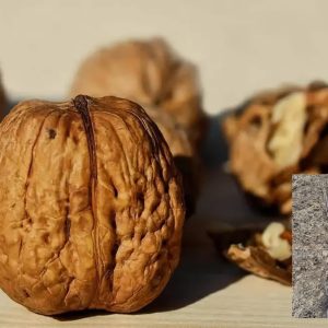 kalemljeni orah ibar – plod sorte i dvogodišnje kalemljene sadnice sa snažnim korenom