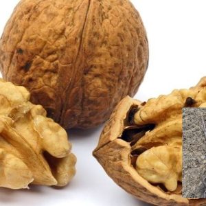 kalemljeni orah šampion – krupan plod sorte i dvogodišnje kalemljene sadnice sa snažnim korenom