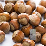 kalemljeni lešnik tonda di giffoni – plod sorte